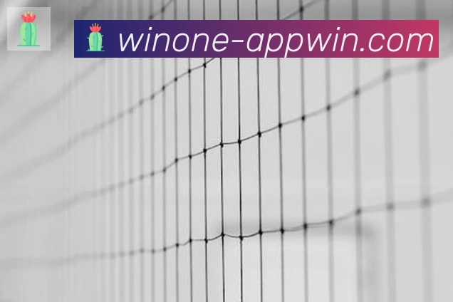 1Win体育服务体系